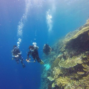 Diving Albania sky sports center