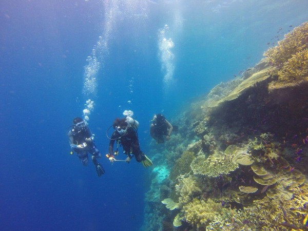 Diving Albania sky sports center